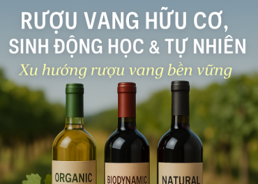 Rượu Vang Hữu Cơ, Sinh Động Học và Tự Nhiên: Xu Hướng Bền Vững Trong Nghệ Thuật Làm Vang