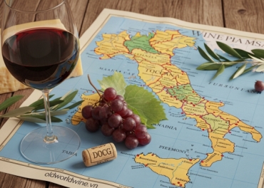 Khám Phá Rượu Vang Ý: Từ Tuscany Nắng Gió Đến Piedmont Đầy Quyền Lực