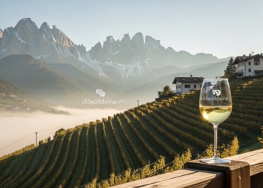 Trentino-Alto Adige: Giải Mã Vùng Rượu Vang Độc Đáo Nơi Alps Gặp Ý Từ Chuyên Gia WSET Lily Trần