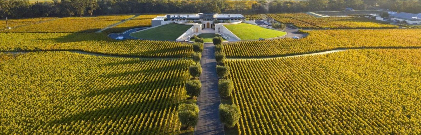 Vườn nho Napa Valley và hầm rượu Opus One