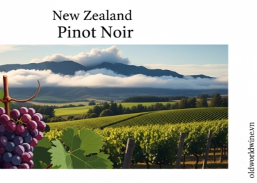 Pinot Noir New Zealand: Khám Phá Vang Ngon Central Otago & Marlborough
