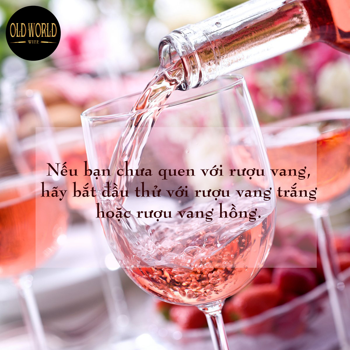 Nếu bạn chưa quen với rượu vang, hãy bắt đầu với rượu vang trắng hoặc rượu vang hồng.