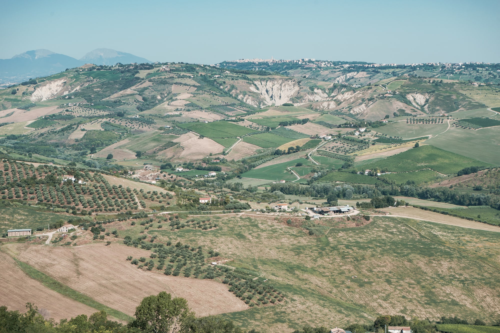 Rượu vang Abruzzo là gì? Tại sao bạn nên biết rượu vang của Abruzzo