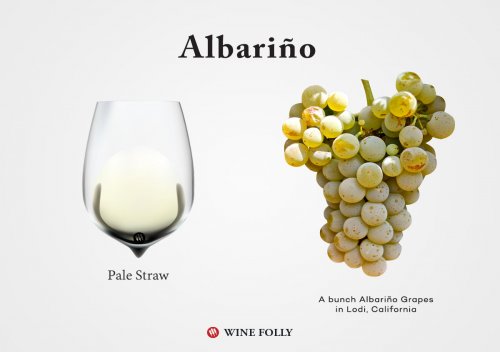 Albariño là gì? và cách tìm rượu Albariño chất lượng