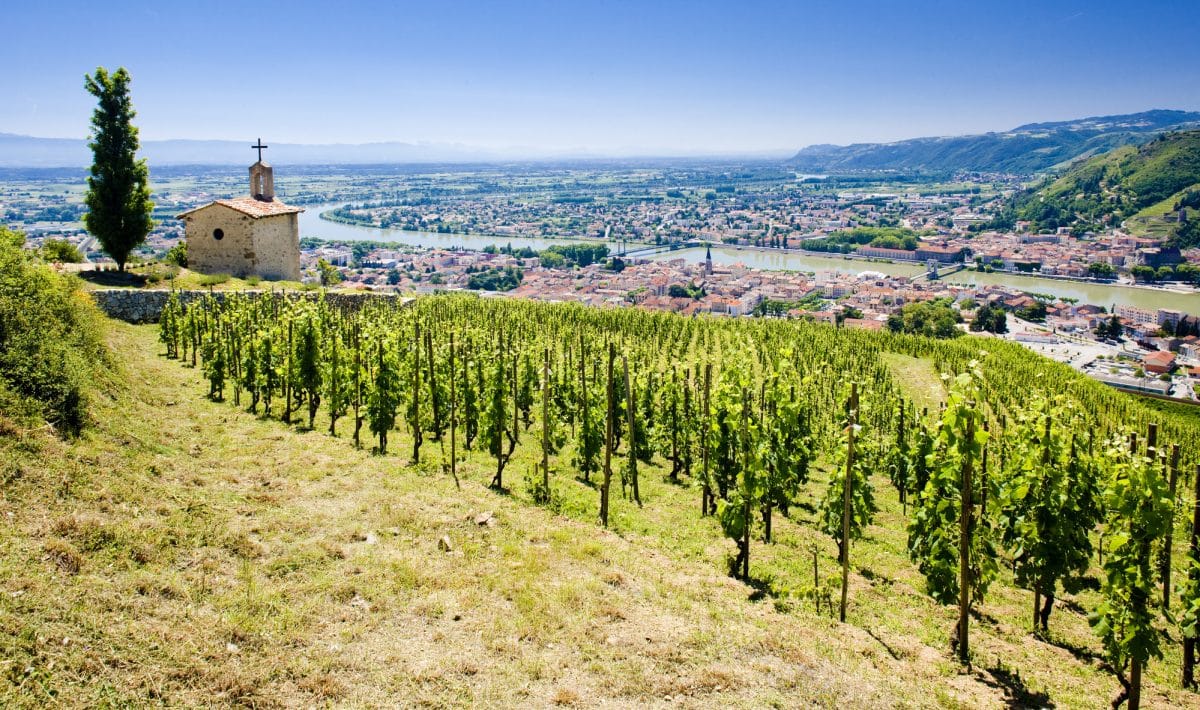Rượu vang Rhône là gì? Tìm hiểu thông tin rượu vang Côtes-du-Rhône 